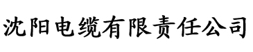 中文字幕韩日精品电缆厂logo